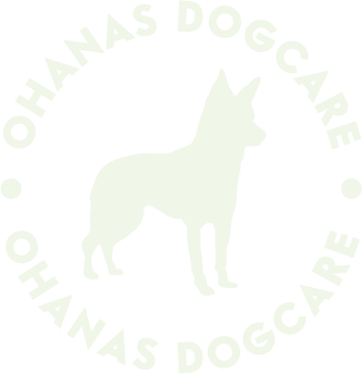 OHANA_LOGO_VANILLA_F1FFEA